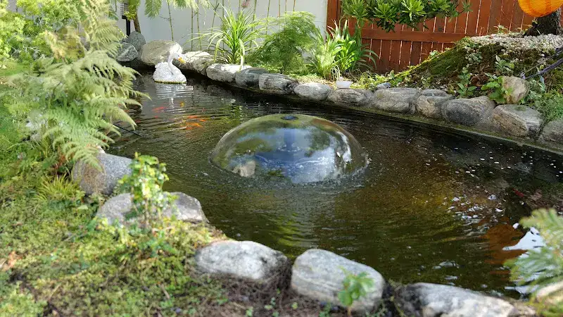 Pond Filter